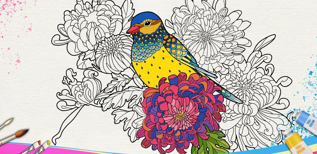 Header Banner
