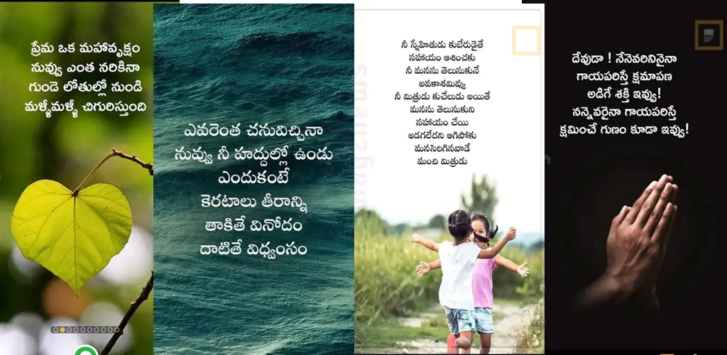 Header Banner