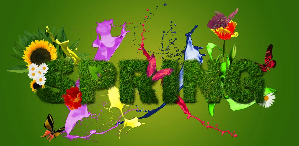 Header Banner