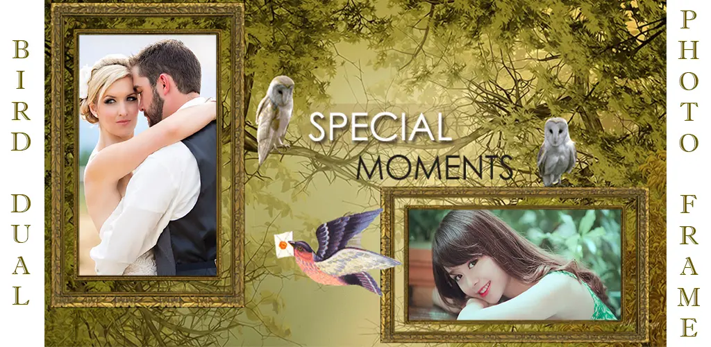 Header Banner