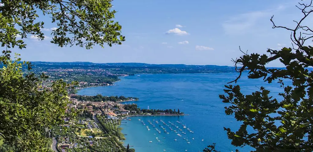 Header Banner