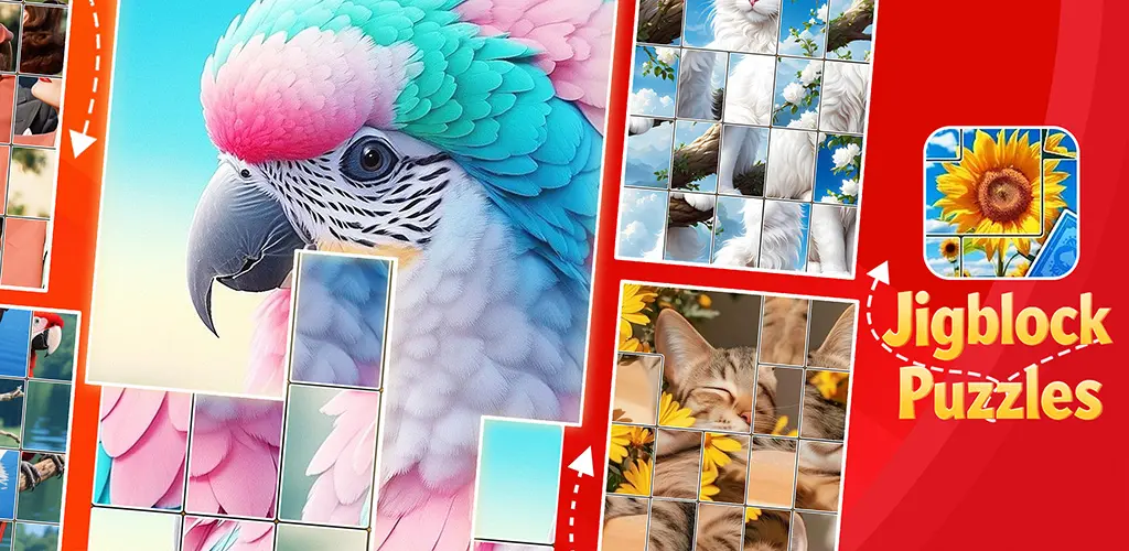 Header Banner