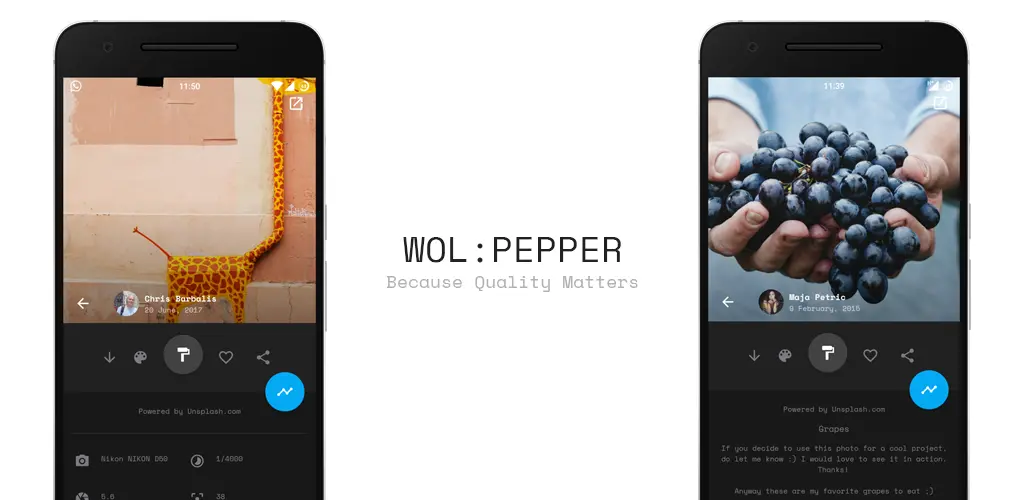 Header Banner