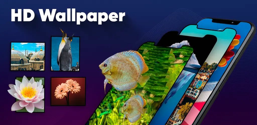 Header Banner