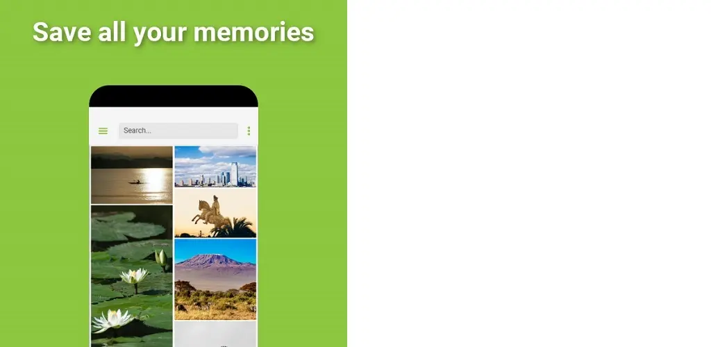 Header Banner