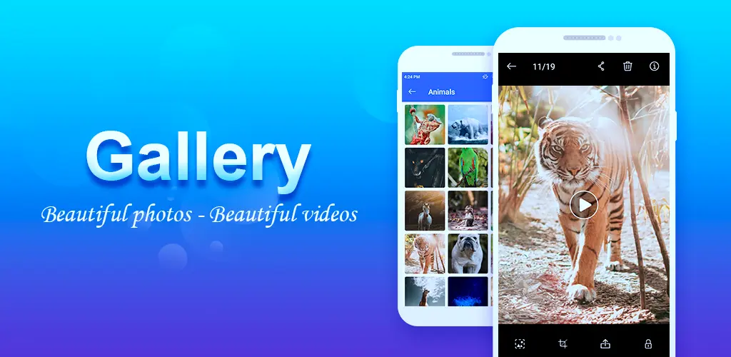 Header Banner