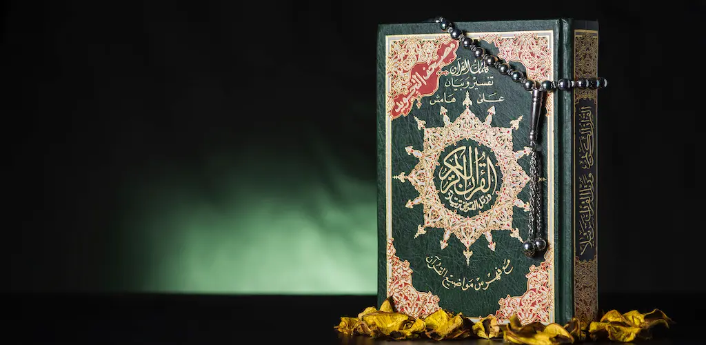 Header Banner