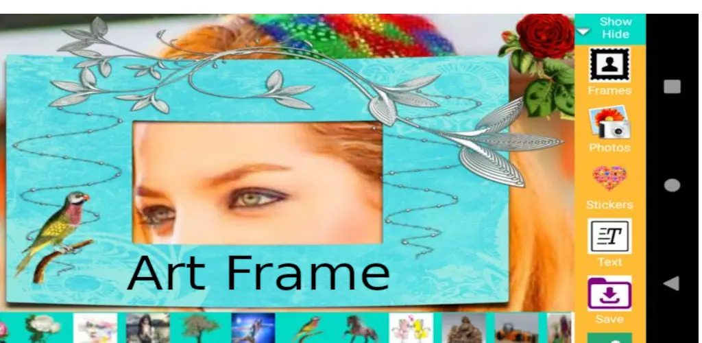 Header Banner
