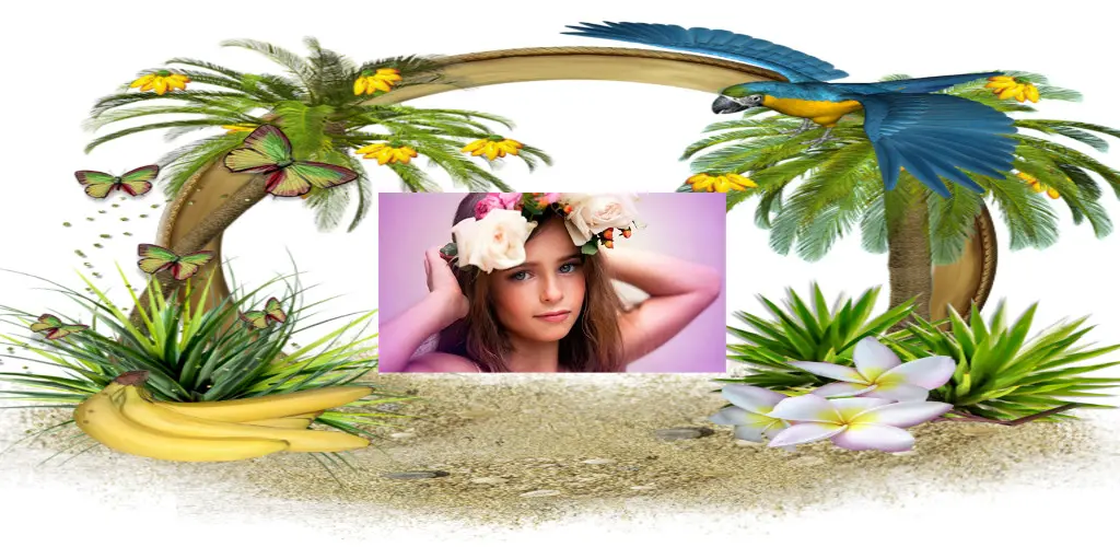 Header Banner