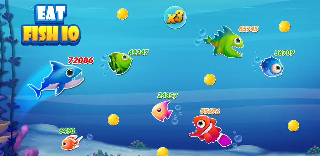 Header Banner