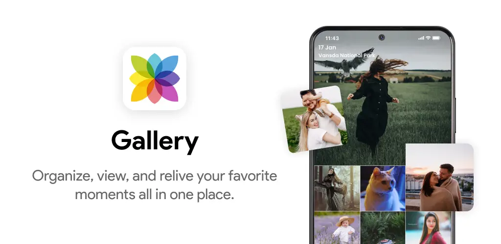 Header Banner