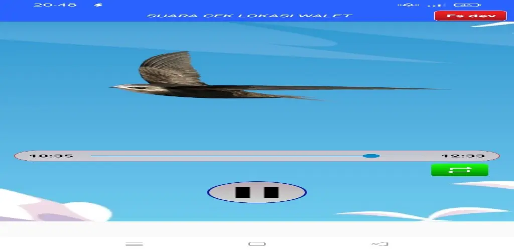 Header Banner