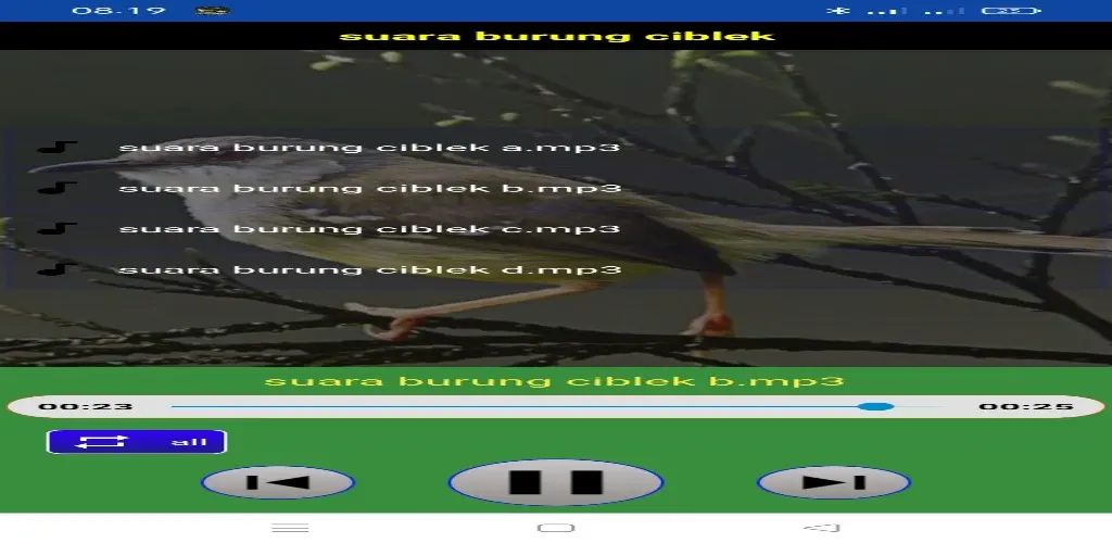 Header Banner