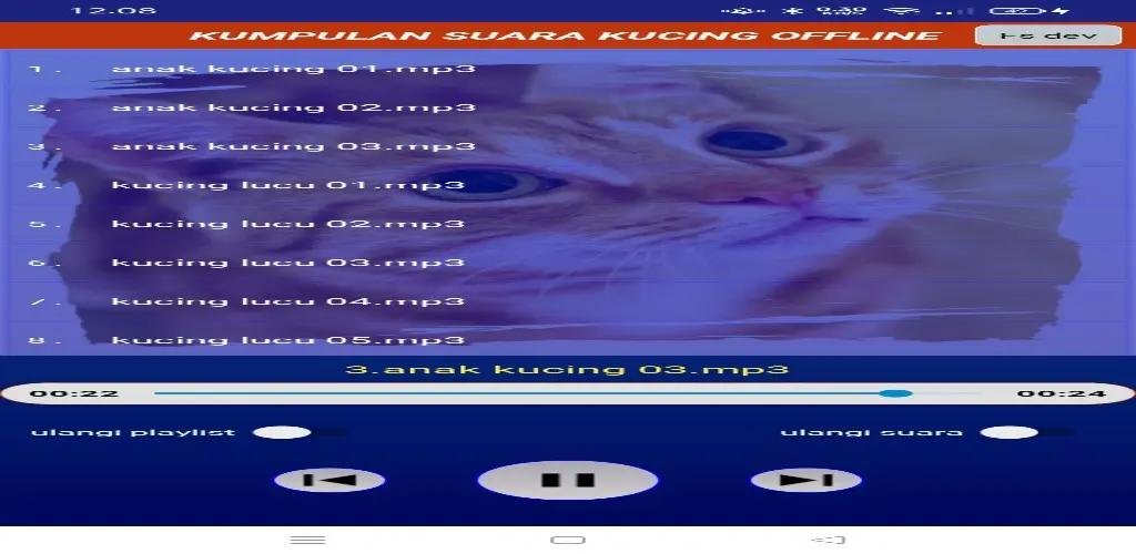 Header Banner