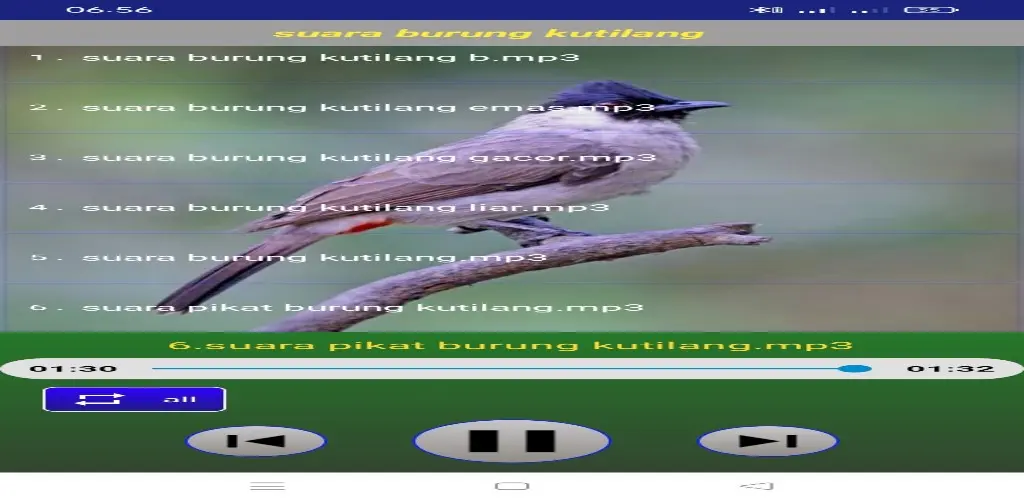 Header Banner
