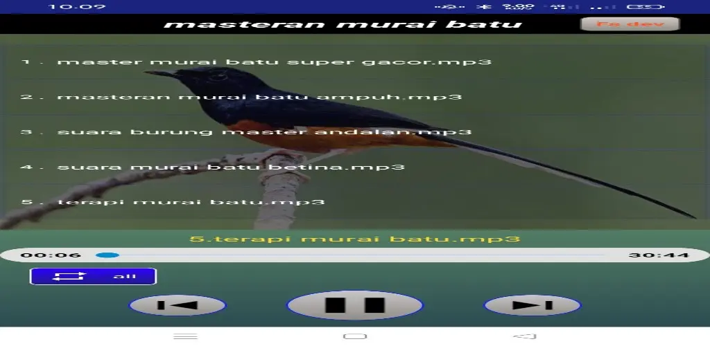 Header Banner