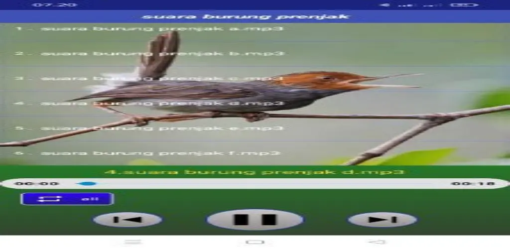 Header Banner