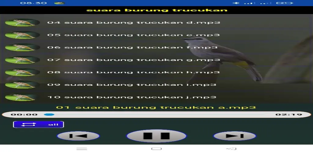 Header Banner