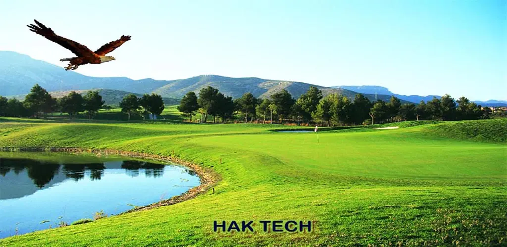 Header Banner