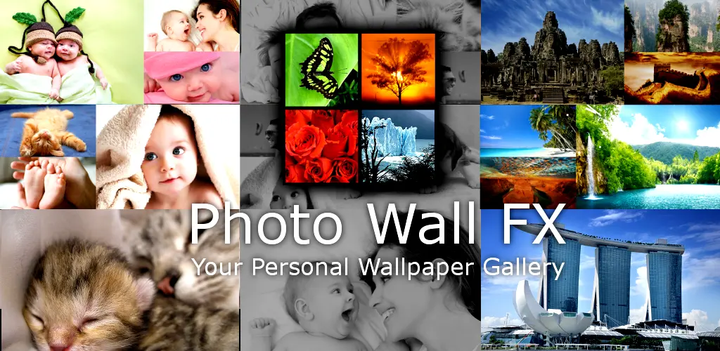 Header Banner