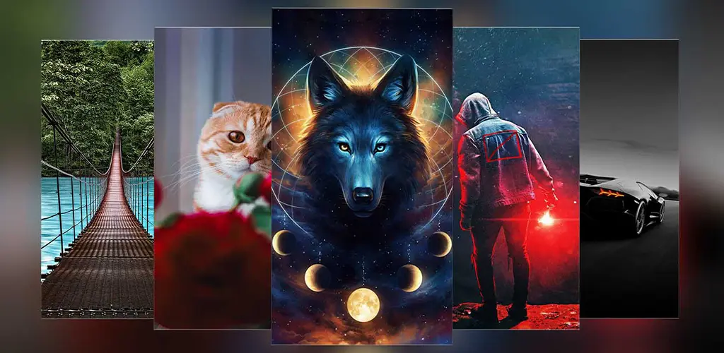 Header Banner