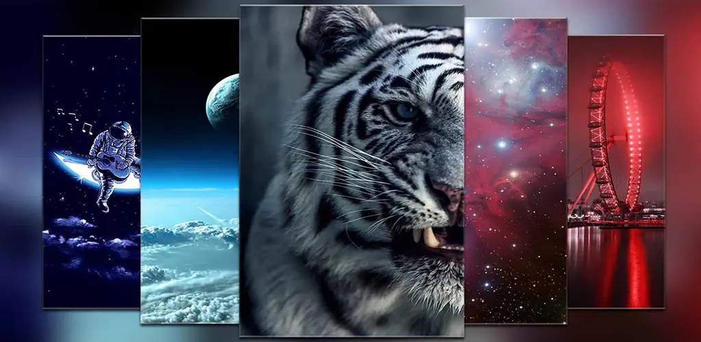 Header Banner