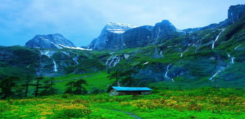 Header Banner