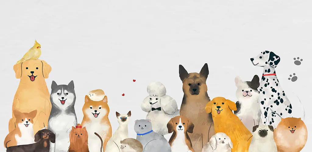 Header Banner