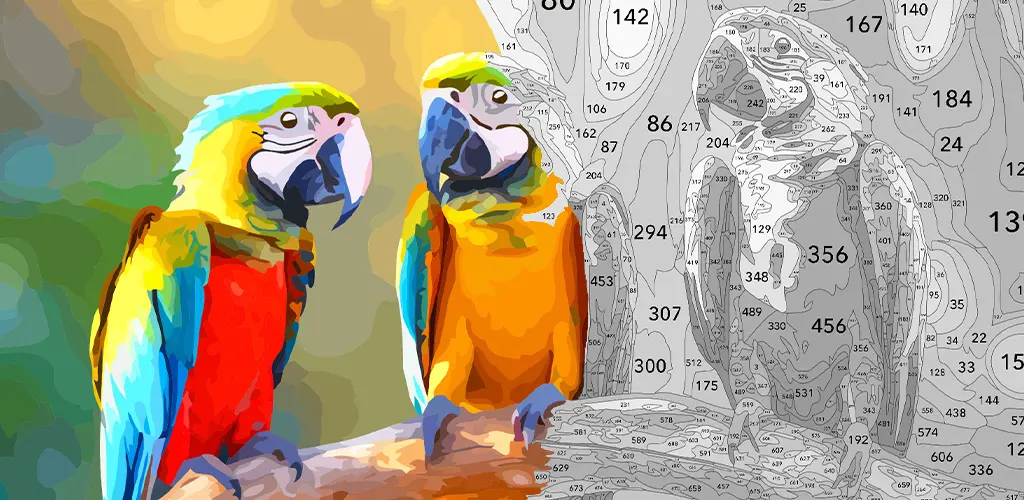 Header Banner