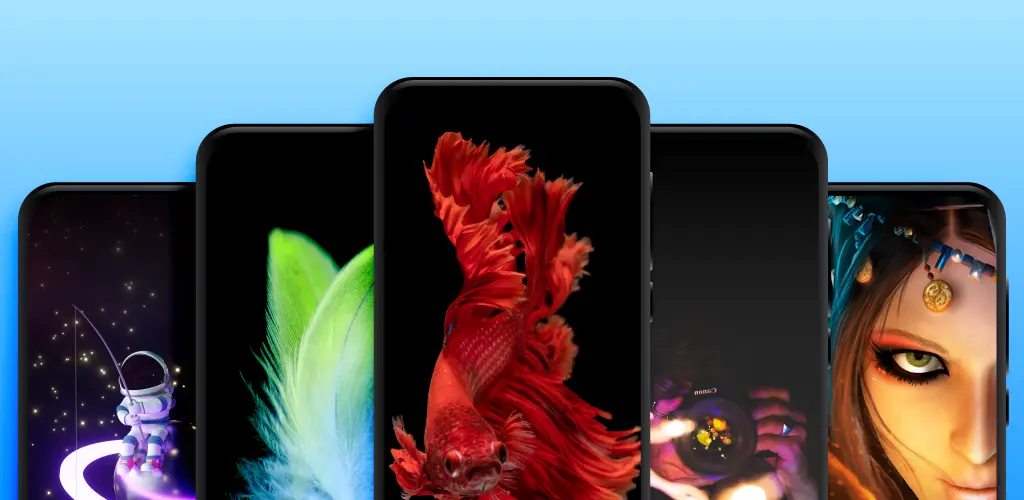 Header Banner