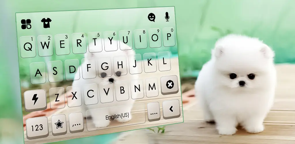 Header Banner