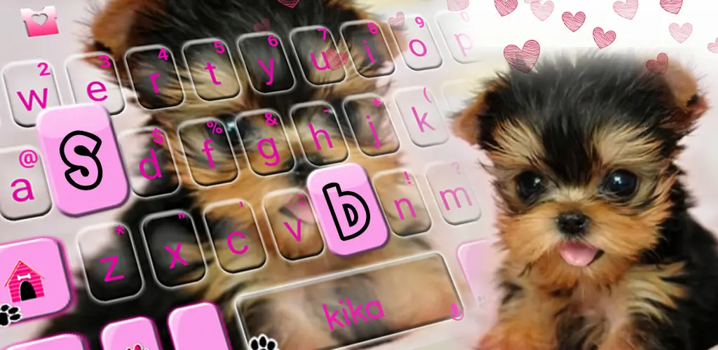 Header Banner
