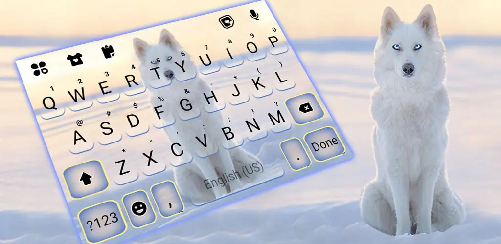 Header Banner