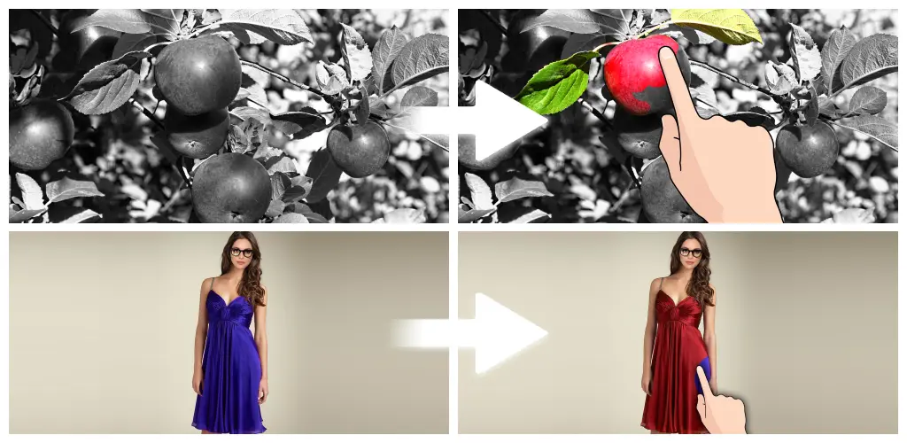 Header Banner
