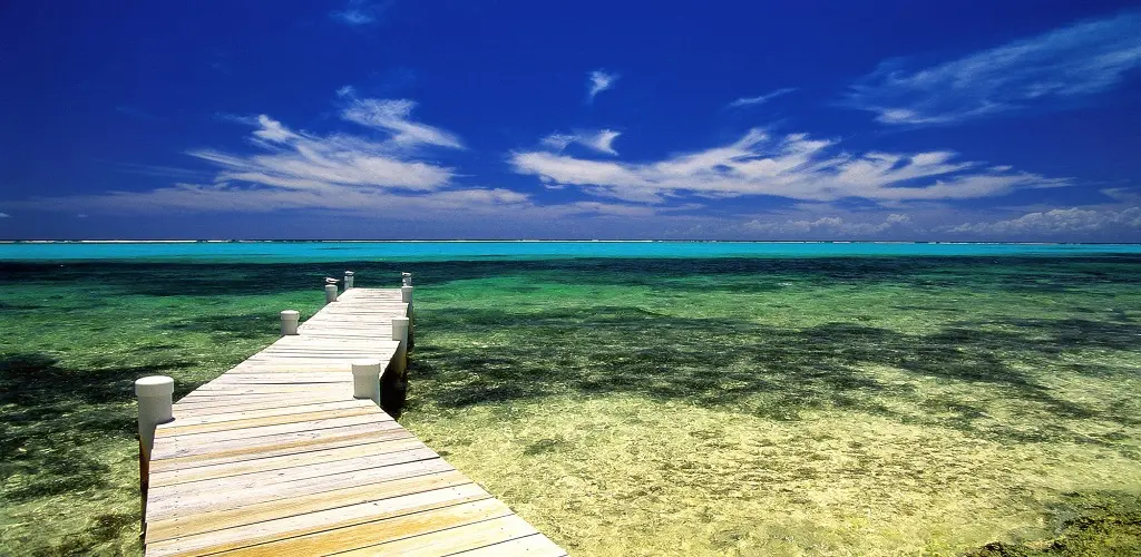 Header Banner