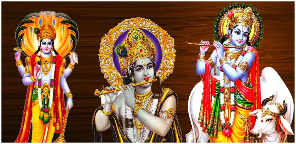 Header Banner