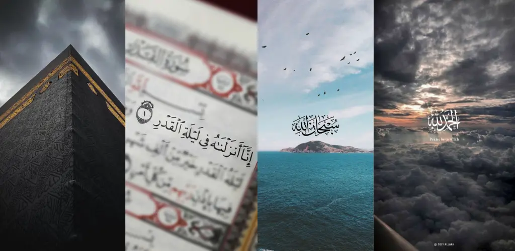 Header Banner
