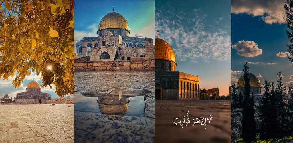 Header Banner