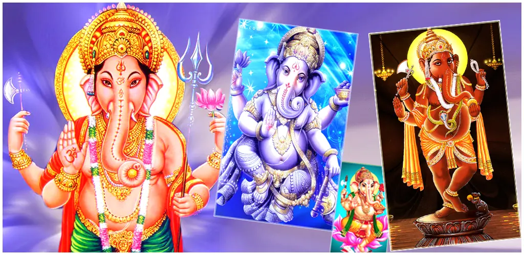 Header Banner