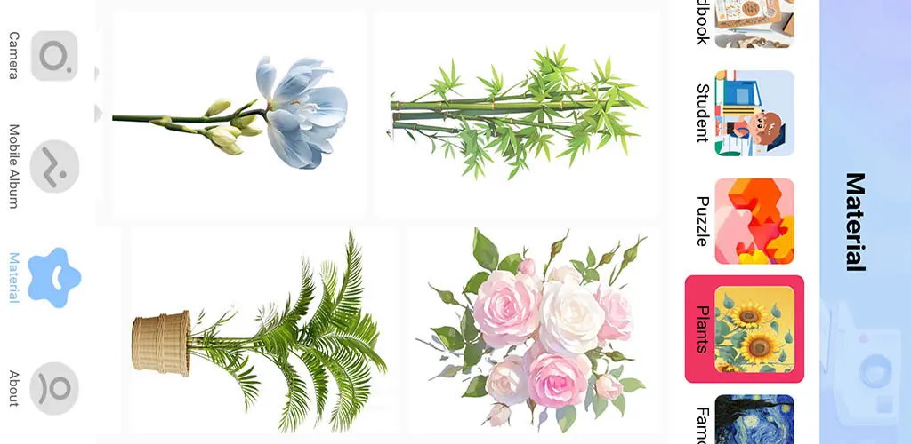 Header Banner