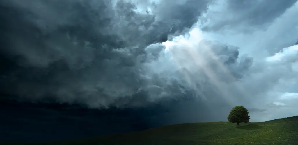 Header Banner