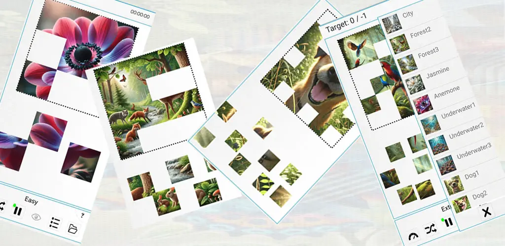 Header Banner