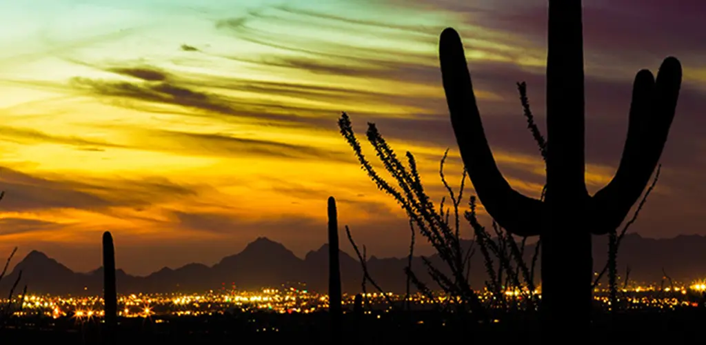 Header Banner