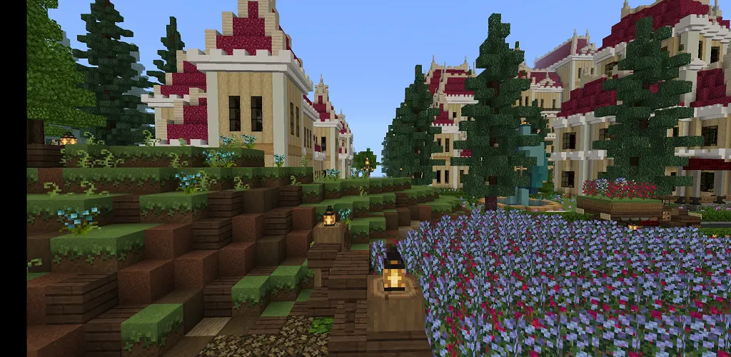 Header Banner