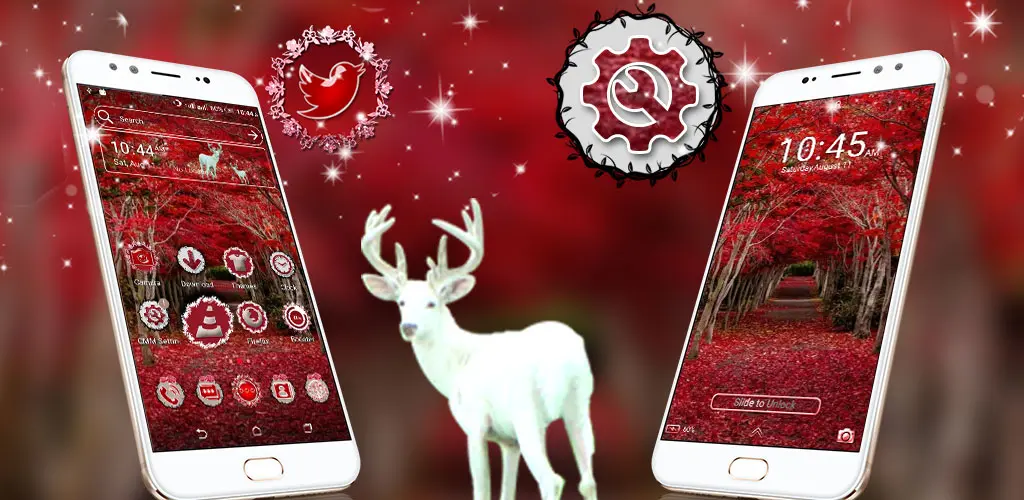 Header Banner