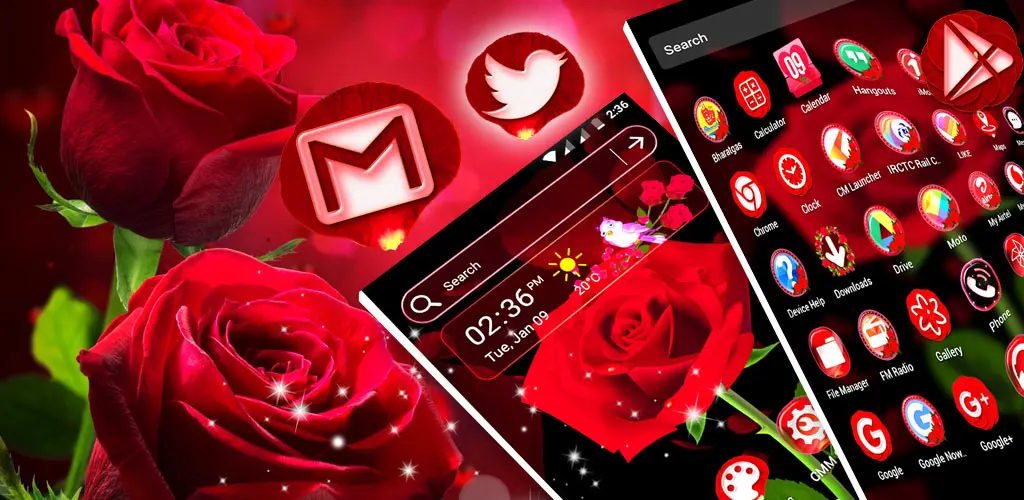 Header Banner