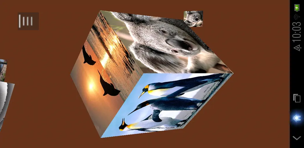 Header Banner