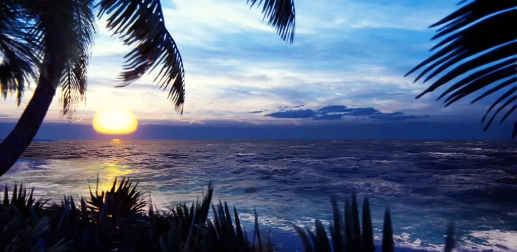 Header Banner