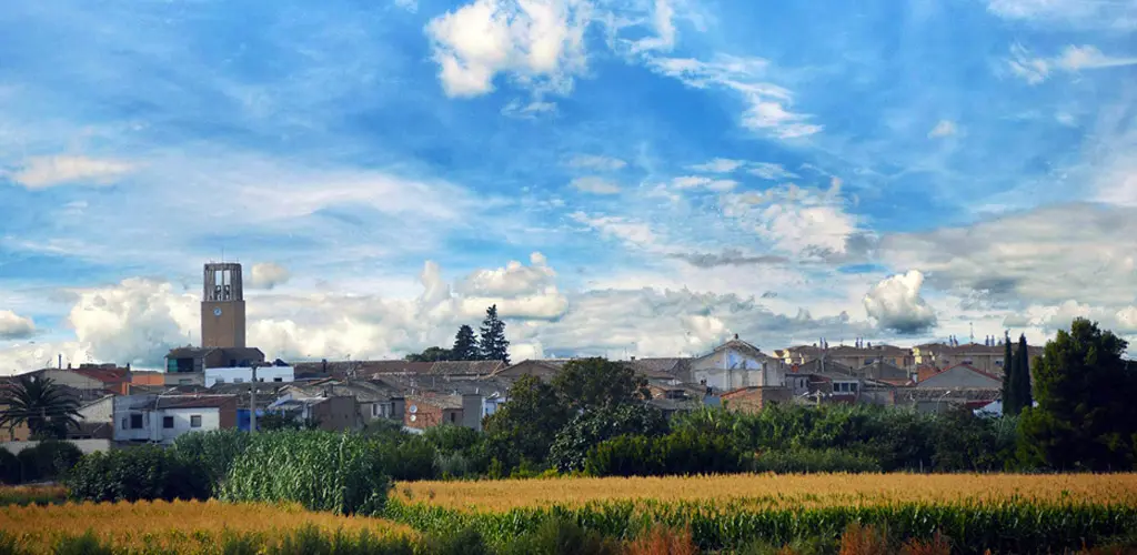 Header Banner