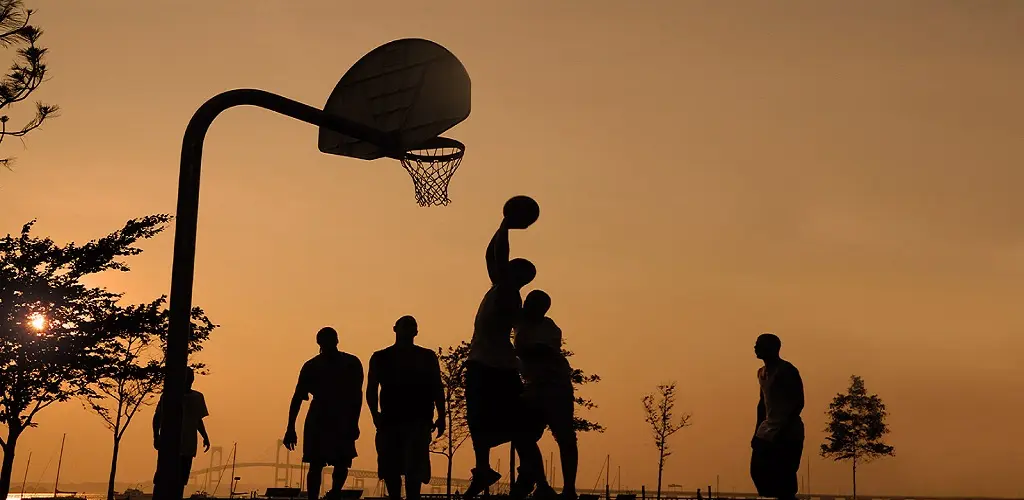Header Banner